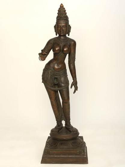 48" Large Goddess Sivagami (Devi Uma) | Bronze Sculpture | Bronze Statue For Temple