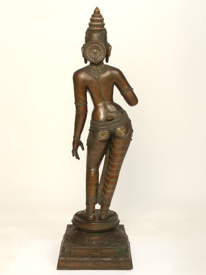 48" Large Goddess Sivagami (Devi Uma) | Bronze Sculpture | Bronze Statue For Temple