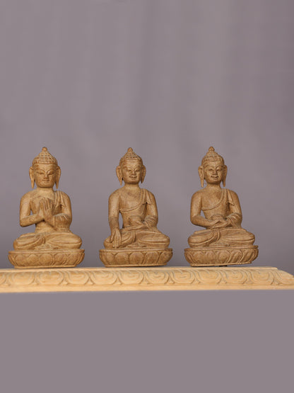 15" Wooden Pancha Buddha Statue (Five Dhyani Buddhas)