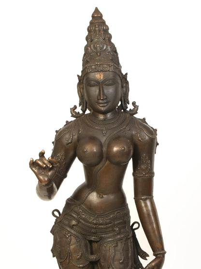 70" Large Standing Goddess Sivagami (Devi Uma) Bronze Sculpture