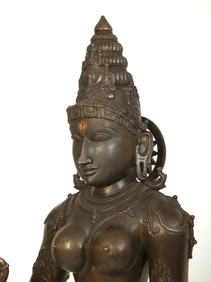 70" Large Standing Goddess Sivagami (Devi Uma) Bronze Sculpture