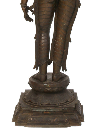 70" Large Standing Goddess Sivagami (Devi Uma) Bronze Sculpture