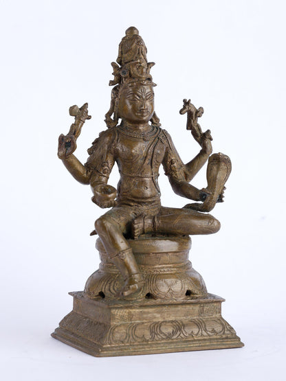 7" Lord Shiva As Vishapaharana | Handmade Idol | Lord Shiva Bronze Statue | Made In India