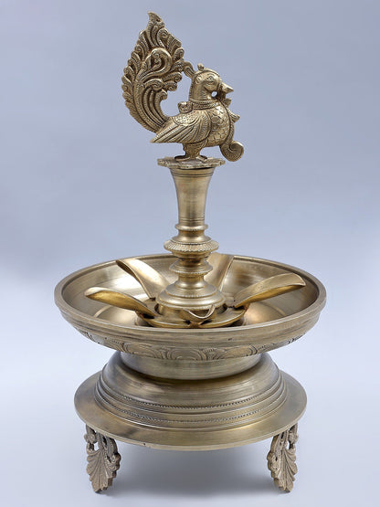 13" Bronze Peacock Designer Oil Lamp (Hoysala Art)