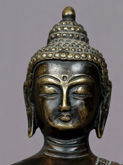 8" Brass Medicine Buddha Statue From Nepal | Handmade Idol | Lord Buddha Statue