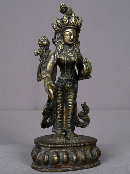 8" Brass Standing Goddess Tara Statue From Nepal | Handmade | Goddess Tara Statue