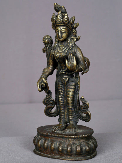 8" Brass Standing Goddess Tara Statue From Nepal | Handmade | Goddess Tara Statue