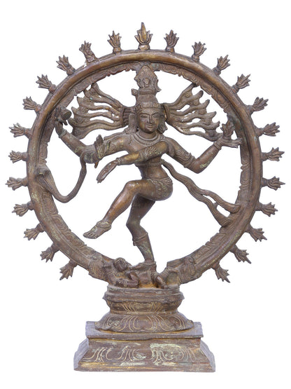 13" Nataraja (Dancing Shiva) Statue | Madhuchista Vidhana (Lost-Wax) | Panchaloha Bronze from Swamimalai