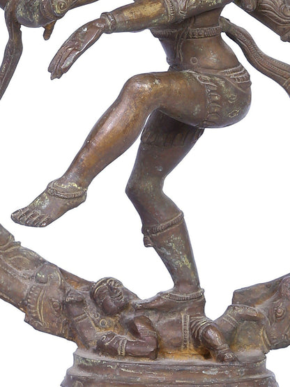 13" Nataraja (Dancing Shiva) Statue | Madhuchista Vidhana (Lost-Wax) | Panchaloha Bronze from Swamimalai