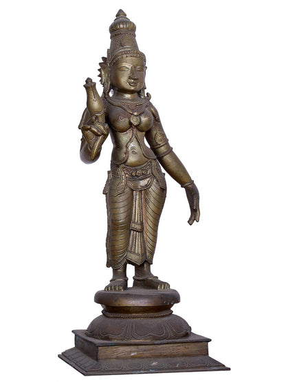 25" Lord Vishnu with Sridevi & Bhudevi Handmade Panchaloha Bronze Statue from Swamimalai