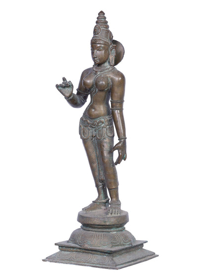 Goddess Uma Sivagami (Bhoga Shakti) | Handmade Idol | Madhuchista Vidhana (Lost-Wax) | Panchaloha Bronze from Swamimalai