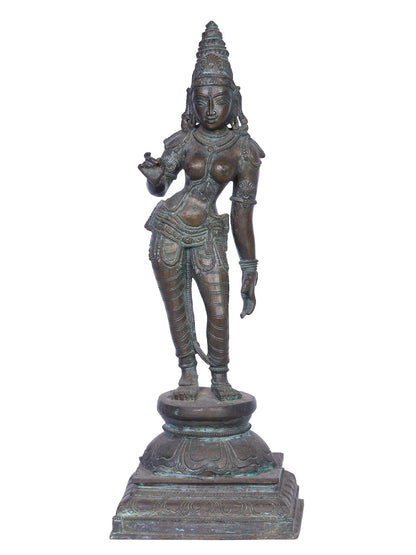 15" Devi Parvati (Devi Uma) | Handmade | Madhuchista Vidhana (Lost-Wax) | Panchaloha Bronze Statue From Swamimalai