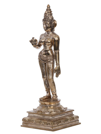 12" Bronze Goddess Standing Parvati Swaroop (Sivagami) | Handmade | Madhuchista Vidhana (Lost-Wax) | Panchaloha Bronze from Swamimalai