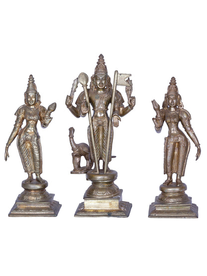 12" Lord Murugan Set | Madhuchista Vidhana (Lost-Wax) | Panchaloha Bronze from Swamimalai