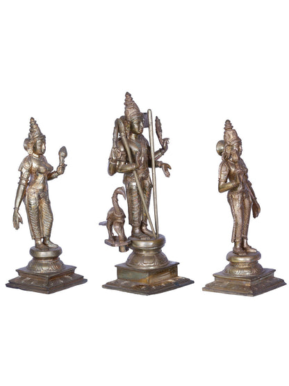 12" Lord Murugan Set | Madhuchista Vidhana (Lost-Wax) | Panchaloha Bronze from Swamimalai