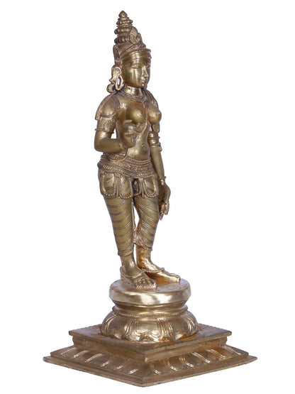 19" Standing Goddess Sivagami (Parvati) | Handmade | Madhuchista Vidhana (Lost-Wax) | Panchaloha Bronze from Swamimalai