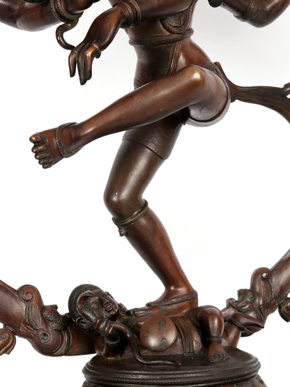 35" Superfine Hindu God Nataraja (Shiva) With Devotees at Bottom | Bronze Statue