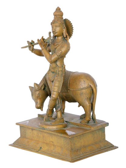 12" Lord Krishna Playing Flute with His Cow | Madhuchista Vidhana (Lost-Wax) | Panchaloha Bronze from Swamimalai