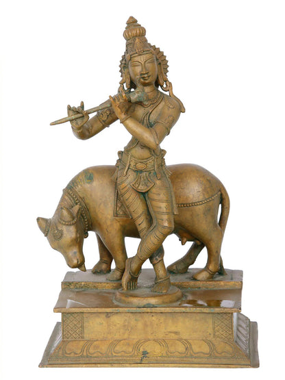 12" Lord Krishna Playing Flute with His Cow | Madhuchista Vidhana (Lost-Wax) | Panchaloha Bronze from Swamimalai