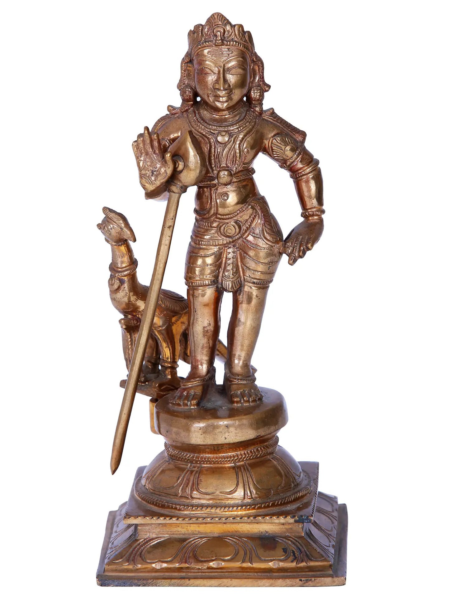 8'' Lord Murugan Sculpture Panchaloha Bronze from Swamimalai | Madhuchista Vidhana (Lost-Wax)