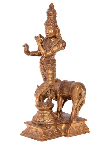 8'' Lord Krishna With Cow | Handmade Idol | Madhuchista Vidhana (Lost-Wax) | Panchaloha Bronze Statue From Swamimalai