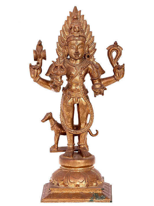 16'' Lord Shiva As Bhairava Statue | Handmade Idol | Madhuchista Vidhana (Lost-Wax) | Panchaloha Bronze From Swamimalai