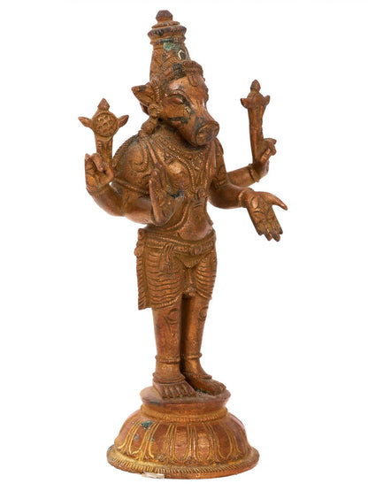 7'' Standing Varaha Avatara Of Vishnu | Lord Vishnu Avatar | Panchaloha Bronze From Swamimalai