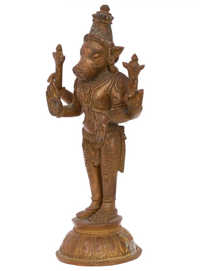 7'' Standing Varaha Avatara Of Vishnu | Lord Vishnu Avatar | Panchaloha Bronze From Swamimalai