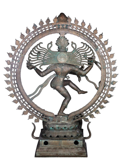 54'' The Natarajan Statue Form Of Lord Shiva | Panchaloha Bronze Statue From Swamimalai