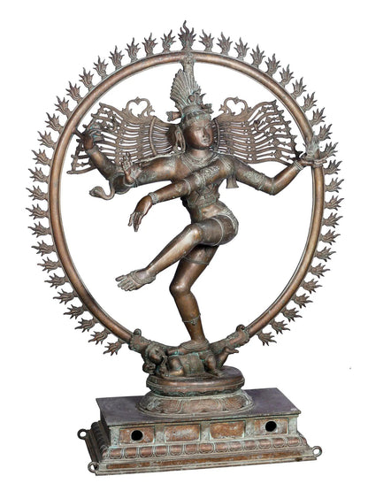 65" Large Shiva As The Lord Of Dance - Nataraja | Panchaloha Bronze Statue From Swamimalai