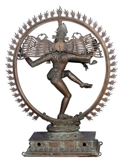 65" Large Shiva As The Lord Of Dance - Nataraja | Panchaloha Bronze Statue From Swamimalai