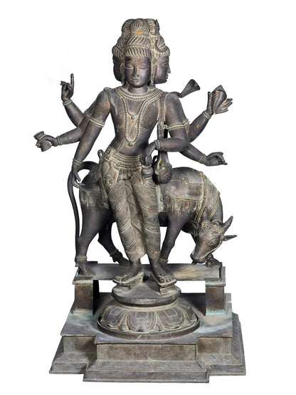 50'' Large Trimukha Dattatreya With Kamadhenu | Panchaloha Bronze Statue From Swamimalai