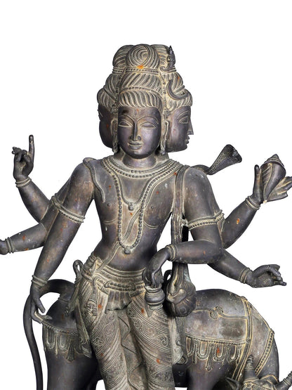 50'' Large Trimukha Dattatreya With Kamadhenu | Panchaloha Bronze Statue From Swamimalai