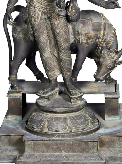 50'' Large Trimukha Dattatreya With Kamadhenu | Panchaloha Bronze Statue From Swamimalai