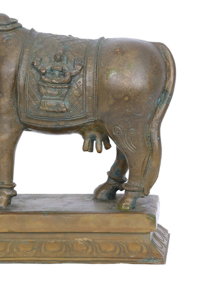 7'' Bronze Goddess Kamdhenu Cow Statue | Panchaloha Bronze Statue From Swamimalai | Handmade Statue