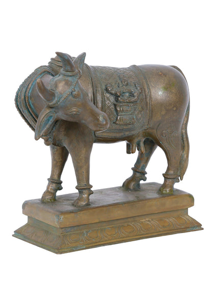 7'' Bronze Goddess Kamdhenu Cow Statue | Panchaloha Bronze Statue From Swamimalai | Handmade Statue