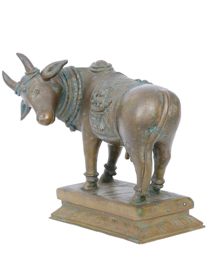 7'' Bronze Goddess Kamdhenu Cow Statue | Panchaloha Bronze Statue From Swamimalai | Handmade Statue