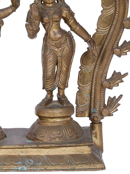 12'' Shiva And Parvati Bronze Sculpture | Panchaloha Bronze Statue From Swamimalai