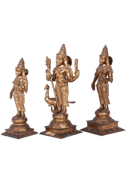 19'' Murugan (Karttikeya) with Devasena and Valli | Madhuchista Vidhana (Lost-Wax) | Panchaloha Bronze from Swamimalai