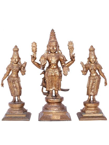 20'' Subramanya (Karttikeya) With Devasena And Valli | Decorative Bronze Idol | Bronze Statue For Gifting