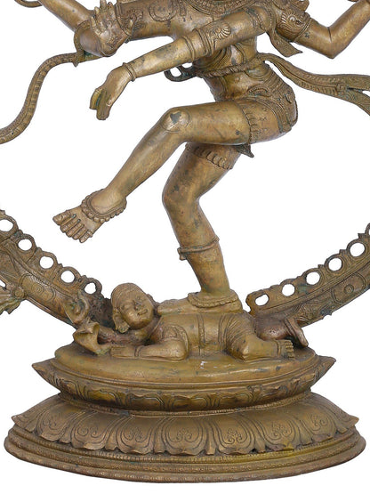 33" Large Nataraja Statue A Form Of Lord Shiva | Panchaloha Bronze Statue | Decorative Bronze Idol | Bronze Statue For Temple