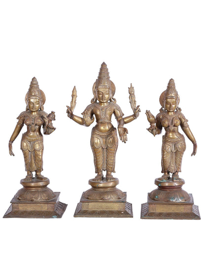 21'' Lord Murugan (Kartikeya) With Devasena And Valli Panchaloha Bronze Sculpture | Bronze Statue For Tample