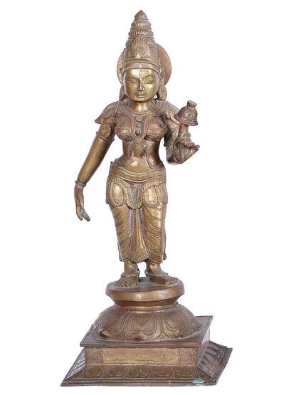 21'' Lord Murugan (Kartikeya) With Devasena And Valli Panchaloha Bronze Sculpture | Bronze Statue For Tample