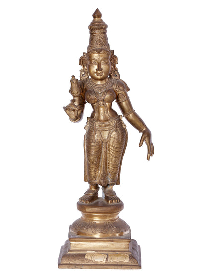 24'' Goddess Parvati  As Devi Uma | Panchaloha Bronze Statue From Swamimalai