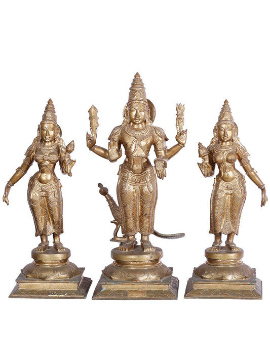 23'' Lord Subramanya (Kartikeya) Idol With Devasena And Valli | Panchaloha Bronze Statue From Swamimalai