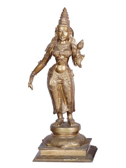 23'' Lord Subramanya (Kartikeya) Idol With Devasena And Valli | Panchaloha Bronze Statue From Swamimalai