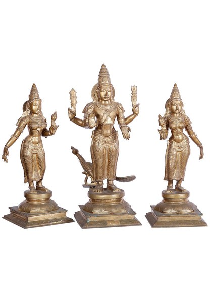 23'' Lord Subramanya (Kartikeya) Idol With Devasena And Valli | Panchaloha Bronze Statue From Swamimalai