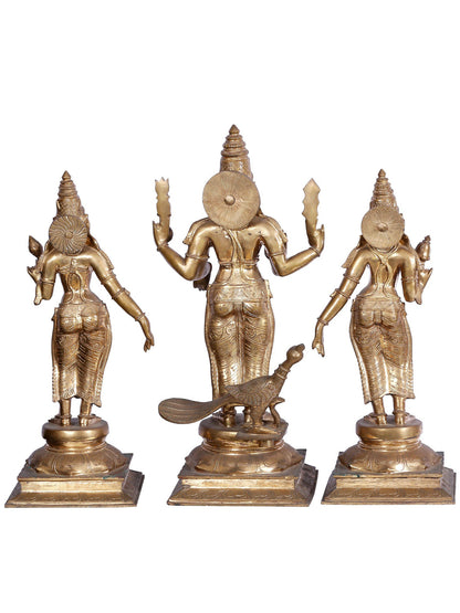 23'' Lord Subramanya (Kartikeya) Idol With Devasena And Valli | Panchaloha Bronze Statue From Swamimalai