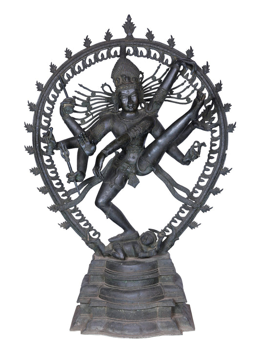 56" Lord Nataraja Form Of Shiva | Panchaloha Bronze Statue From Swamimalai | Madhuchista Vidhana (Lost-Wax)