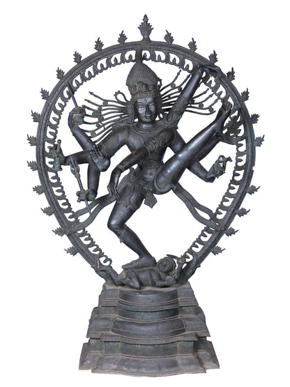 56" Lord Nataraja Form Of Shiva | Panchaloha Bronze Statue From Swamimalai | Madhuchista Vidhana (Lost-Wax)